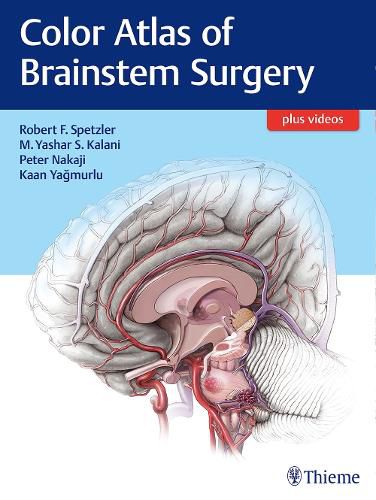 Cover image for Color Atlas of Brainstem Surgery