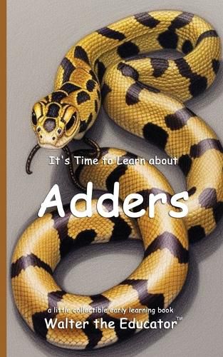 Cover image for It's Time to Learn about Adders