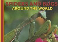 Cover image for Spiders and Bugs Around the World