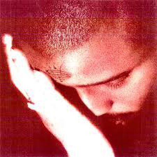 Cover image for The Passionate Ones - Nourished By Time (Clear Vinyl)