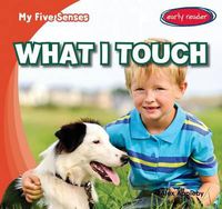 Cover image for What I Touch