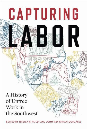 Cover image for Capturing Labor