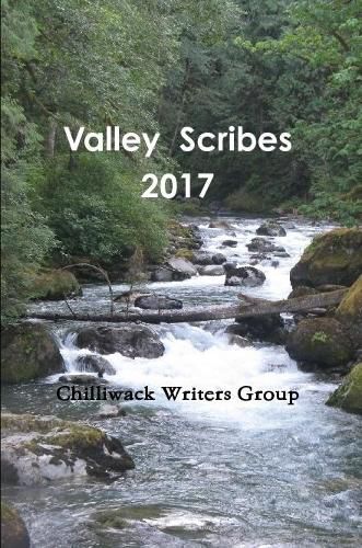 Cover image for Valley Scribes 2017
