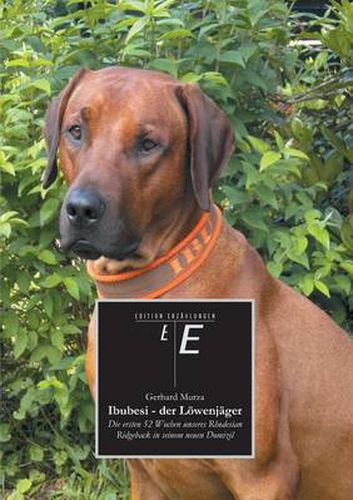 Cover image for Ibubesi - Der Lowenjager