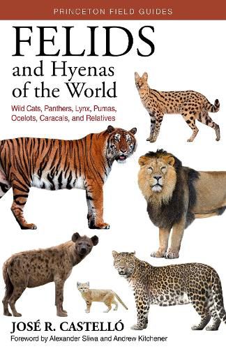 Cover image for Felids and Hyenas of the World: Wildcats, Panthers, Lynx, Pumas, Ocelots, Caracals, and Relatives