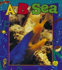 Cover image for A-B-Sea