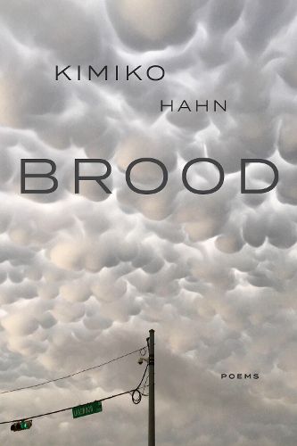 Cover image for Brood