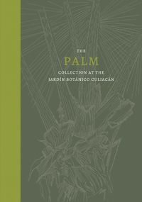 Cover image for The Palm: Collection at the Jardin Botanico Culiacan