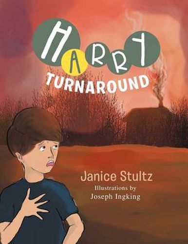 Cover image for Harry Turnaround