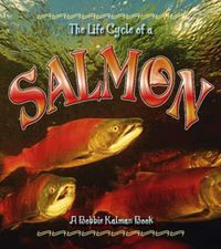 Cover image for The Life Cycle of the Salmon