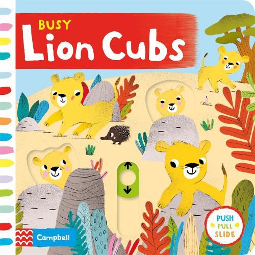 Cover image for Busy Lion Cubs