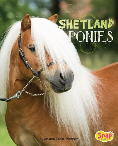 Cover image for Shetland Ponies