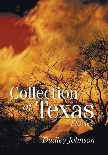 Cover image for Collection of Texas Stories