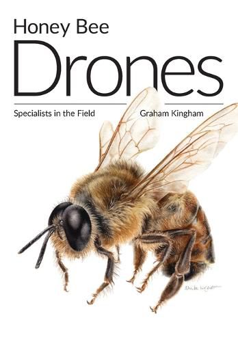 Cover image for Honey Bee Drones: Specialists in the Field