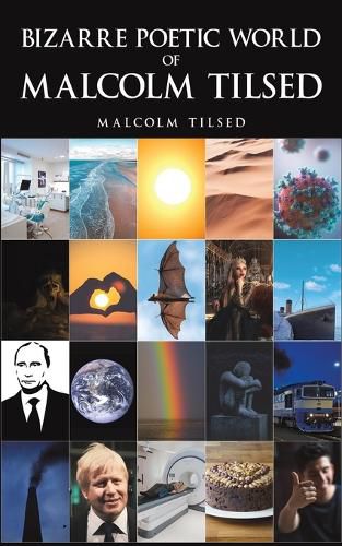 Cover image for Bizarre Poetic World of Malcolm Tilsed