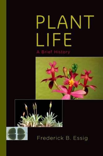 Cover image for Plant Life: A Brief History