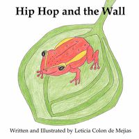 Cover image for Hip Hop and the Wall