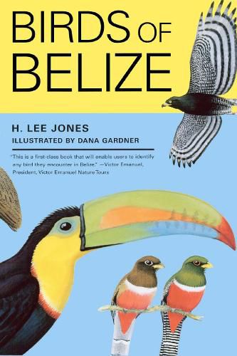 Cover image for Birds of Belize