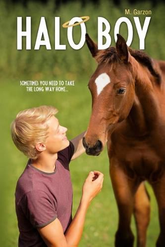 Cover image for Halo Boy