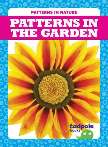 Cover image for Patterns in the Garden