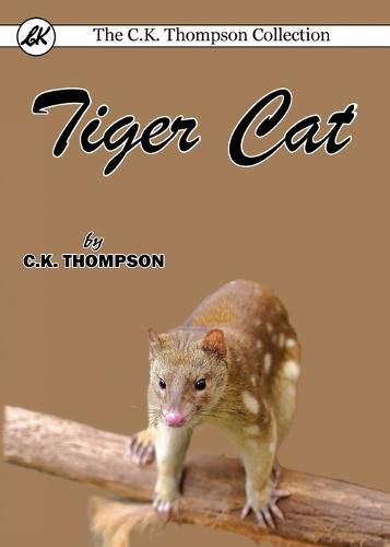 Cover image for Tiger Cat