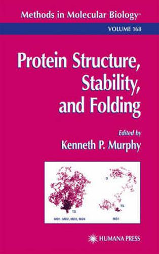 Cover image for Protein Structure, Stability, and Folding