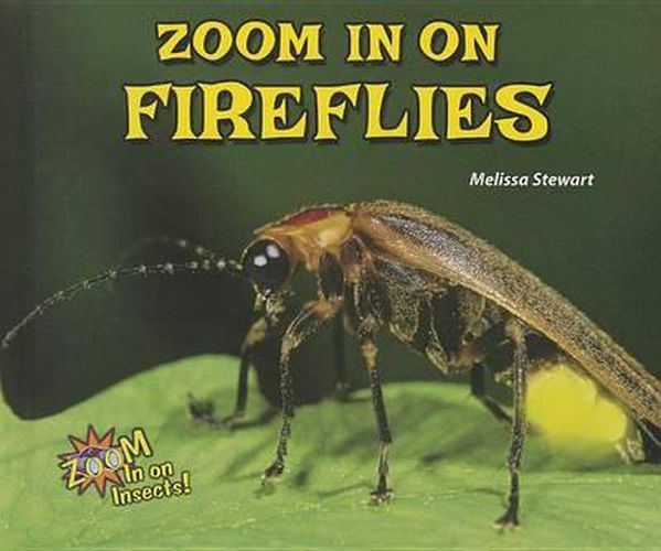 Cover image for Zoom in on Fireflies