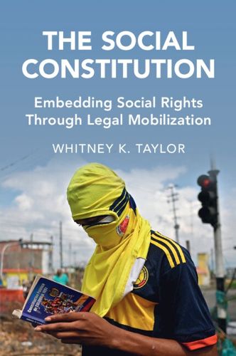 Cover image for The Social Constitution