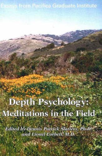 Cover image for Depth Psychology, 2nd Edition: Meditations in the Field