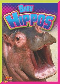 Cover image for Baby Hippos