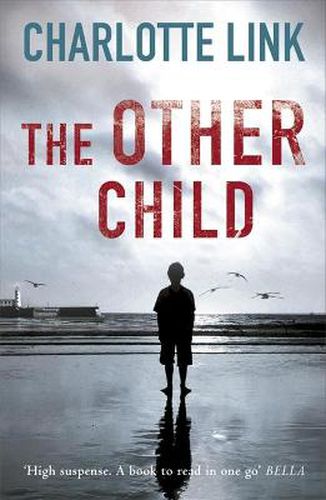 Cover image for The Other Child