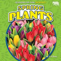 Cover image for Spring Plants