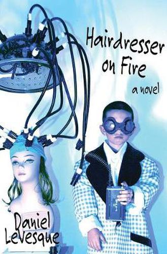 Cover image for Hairdresser On Fire: A Novel