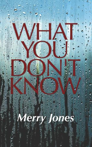 Cover image for What You Don't Know