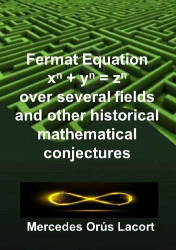 Cover image for Fermat Equation over several fields and other historical mathematical conjectures