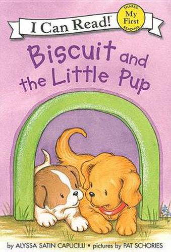 Cover image for Biscuit and the Little Pup