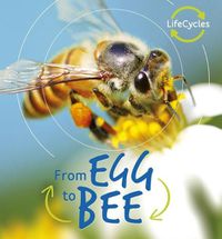 Cover image for From Egg to Bee