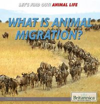 Cover image for What Is Animal Migration?