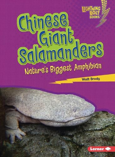 Cover image for Chinese Giant Salamanders