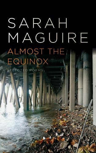 Cover image for Almost the Equinox: Selected Poems