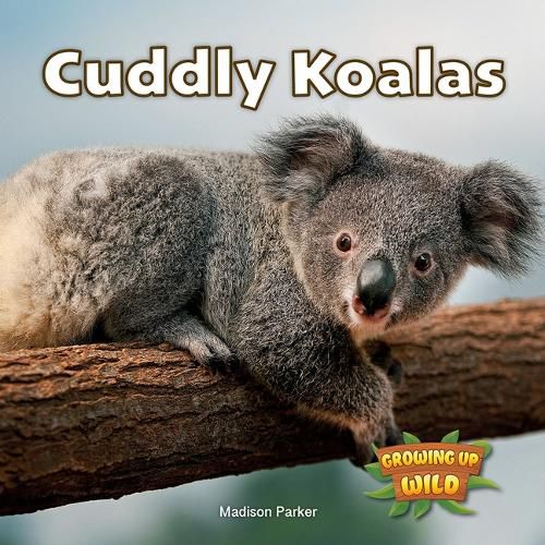 Cover image for Cuddly Koalas