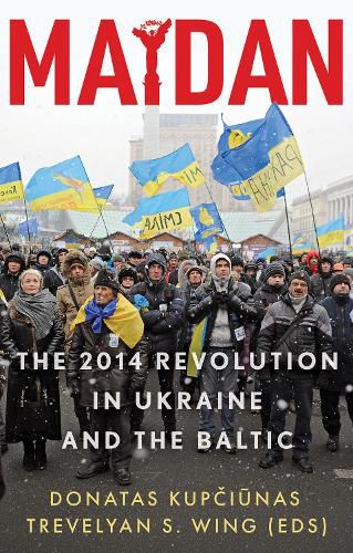 Cover image for Maidan