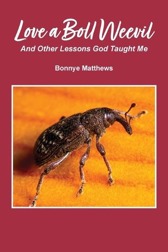 Cover image for Love a Boll Weevil
