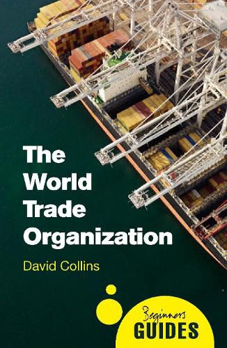 Cover image for The World Trade Organization: A Beginner's Guide