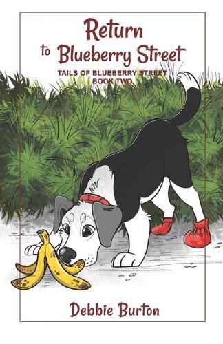 Cover image for Return to Blueberry Street