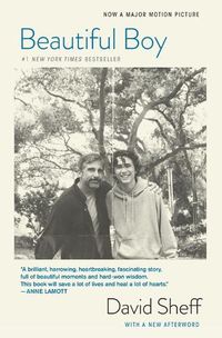 Cover image for Beautiful Boy (Tie-In): A Father's Journey Through His Son's Addiction
