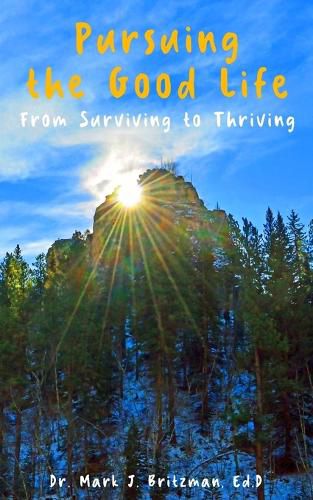 Cover image for Pursuing the Good Life
