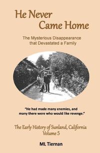 Cover image for He Never Came Home