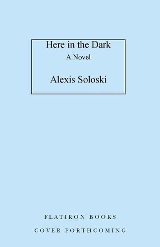 Cover image for Here in the Dark