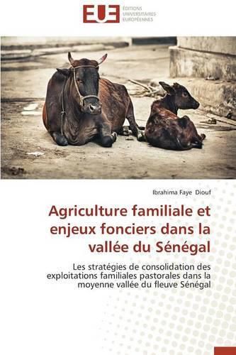 Agriculture Familiale Et Enjeux Fonciers Dans La Vall e Du S n gal